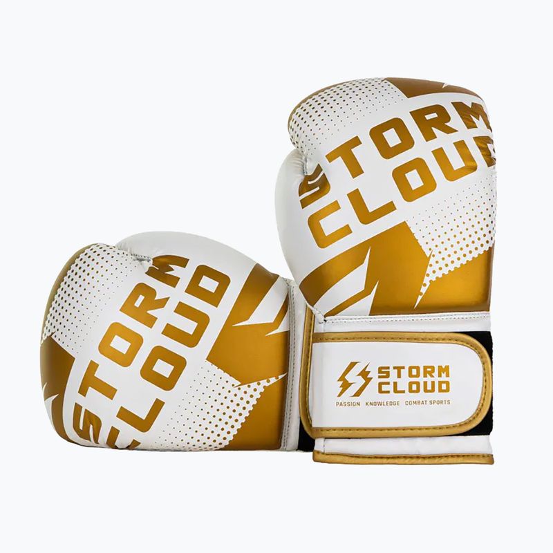 Boxerské rukavice StormCloud Bolt 3.0 white/gold 3