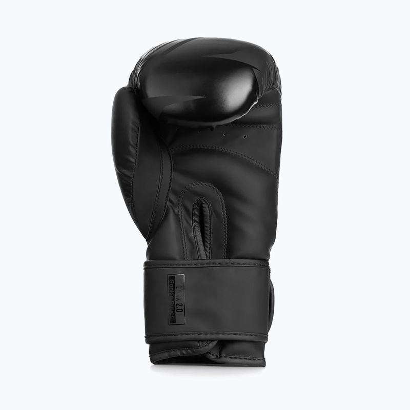 Boxerské rukavice StormCloud Lynx 2.0 black/black 5