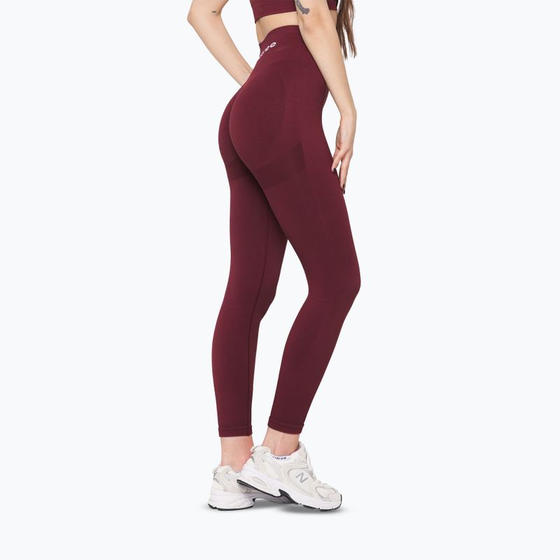 Dámské tréninkové legíny Carpatree Allure Seamless burgundy 2