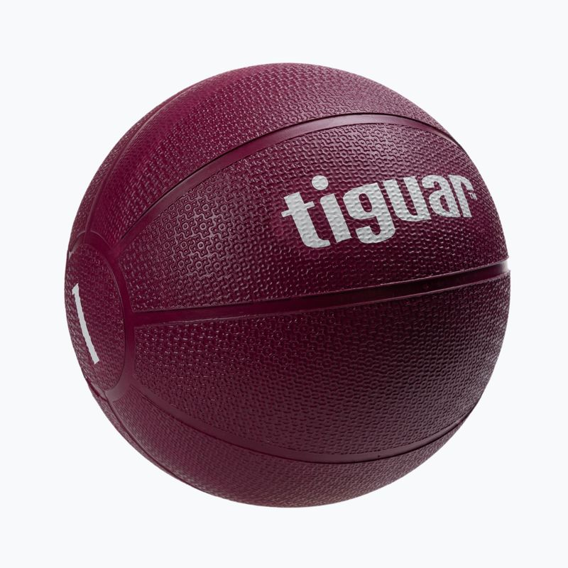 Medicinbal tiguar 1 kg fialový TI-PL0001