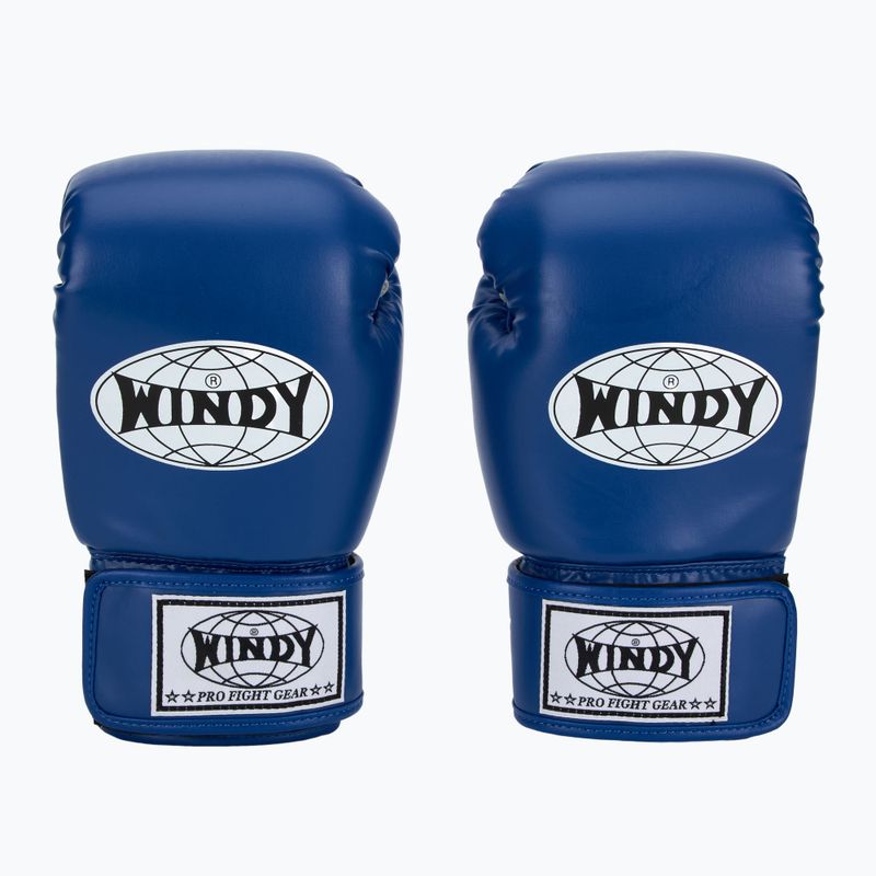 Boxerské rukavice WINDY Classic Synthetic Leather blue 2