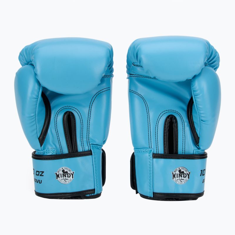 Boxerské rukavice WINDY Classic Synthetic Leather sky blue 3