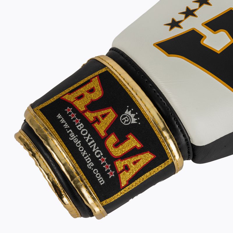 Boxerské rukavice RAJA BOXING Origin Standard Genuine Leather white 6