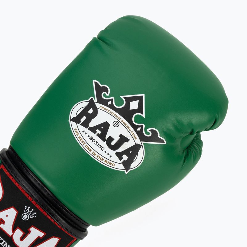 Boxerské rukavice RAJA BOXING Single Semi Leather green 5