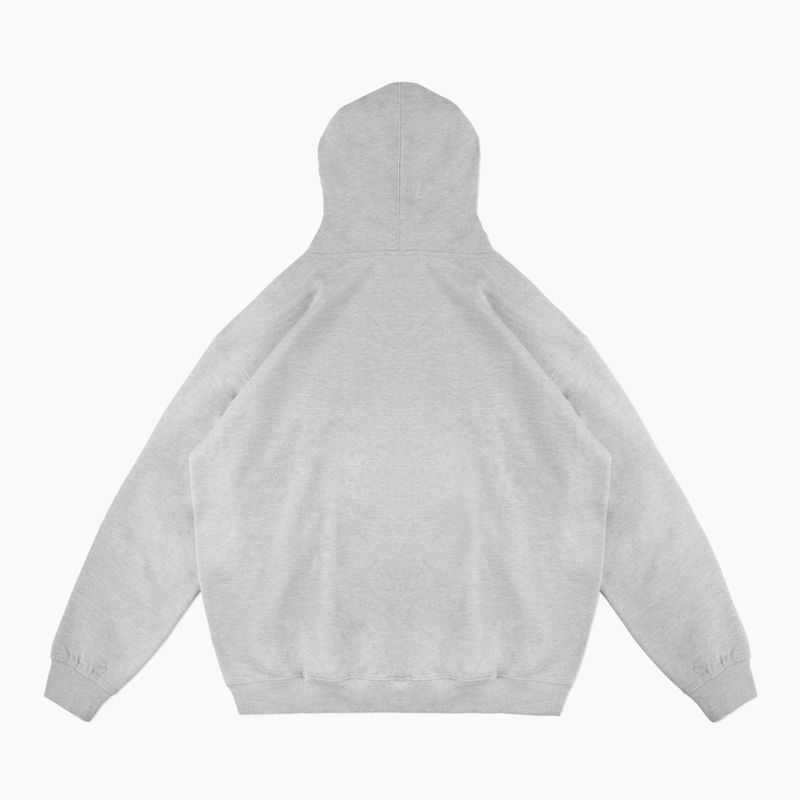 Pánská mikina PROSTO Biolog Hoodie grey 2