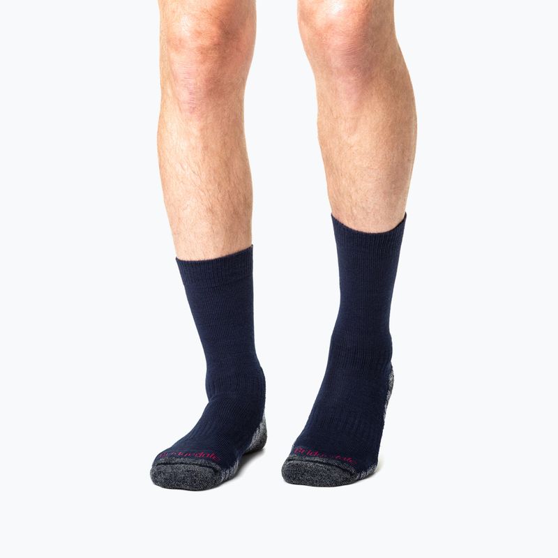 Pánské ponožky Bridgedale Lightweight Merino Performance Boot Original navy/grey 5