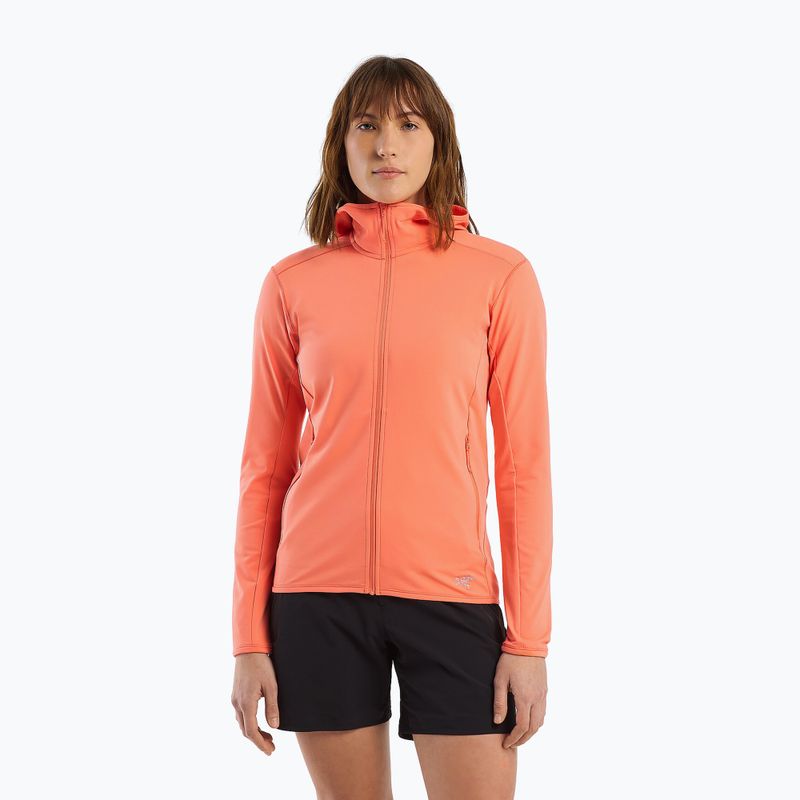 Dámská trekingová mikina Arc'teryx Kyanite LT Hoody šedá X000005692046