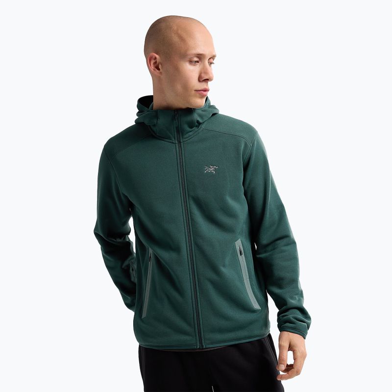 Pánská trekingová mikina Arcteryx Kyanite pytheas