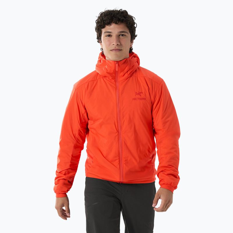 Pánská zateplená bunda Arcteryx Atom Hoody solaris