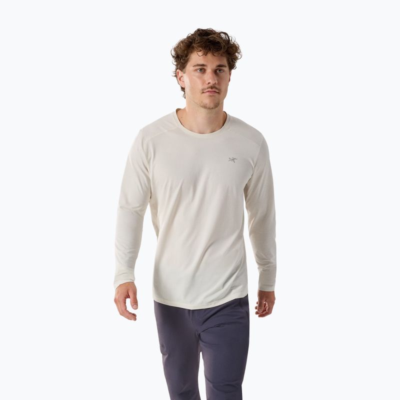 Pánské trekkingové tričko Longsleeve Arc'teryx Cormac Crew arctic silk heather