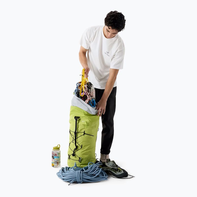 Pánské tričko Arc'teryx Kragg Sl Cotton Bird Word white light/black 2