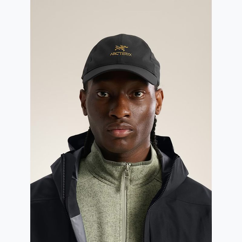 Kšiltovka Arcteryx Bird Wood 24k black 5