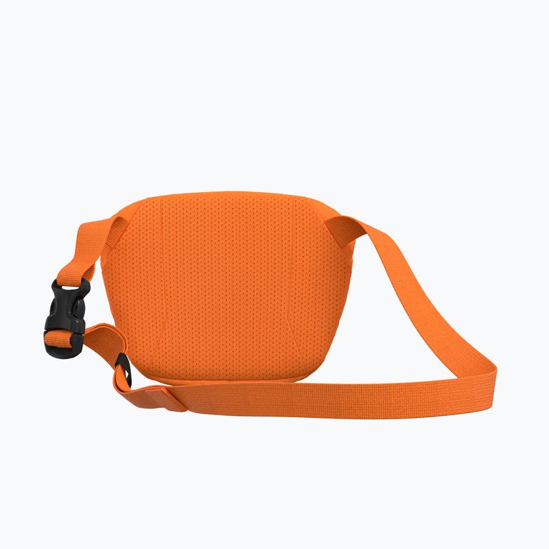 Taška Arc'teryx Mantis 1 1,5 l verve 3