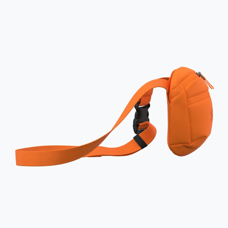 Taška Arc'teryx Mantis 1 1,5 l verve 4