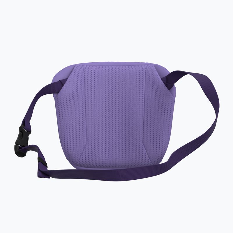 Ledvinka Arc'teryx Mantis 2 2,5 l Aster/Azalea 3