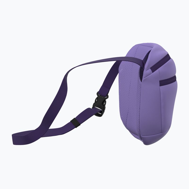 Ledvinka Arc'teryx Mantis 2 2,5 l Aster/Azalea 4