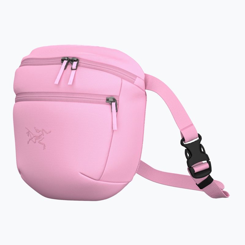 Sáček Arc'teryx Mantis 2 2,5 and pineberry 2