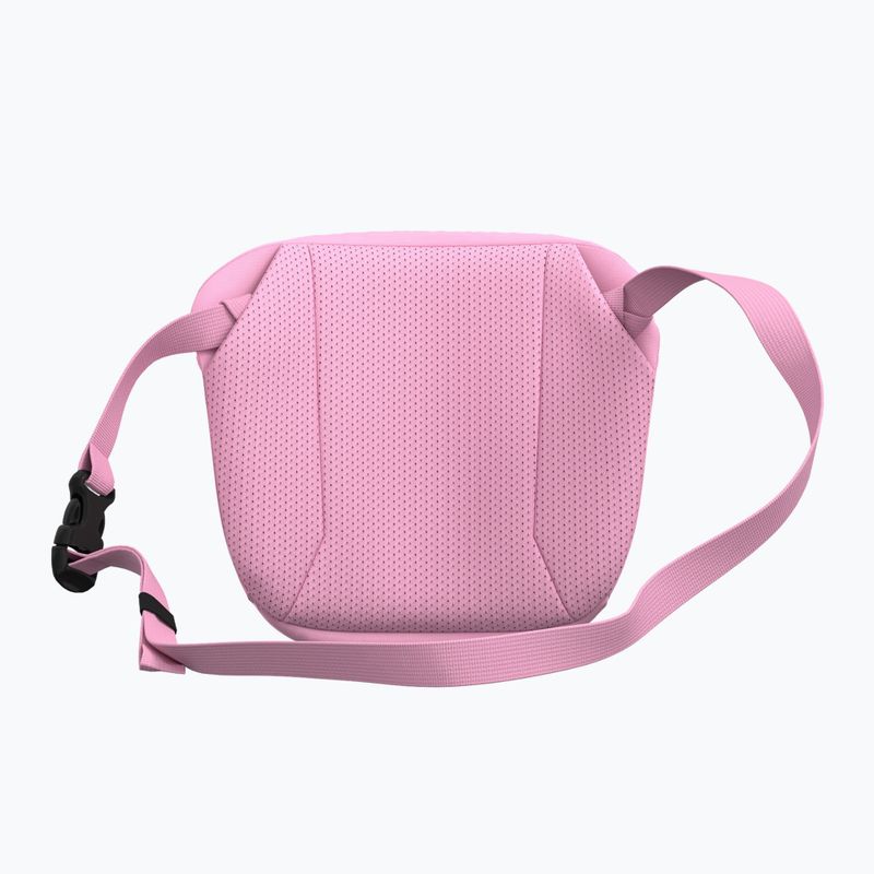 Sáček Arc'teryx Mantis 2 2,5 and pineberry 3