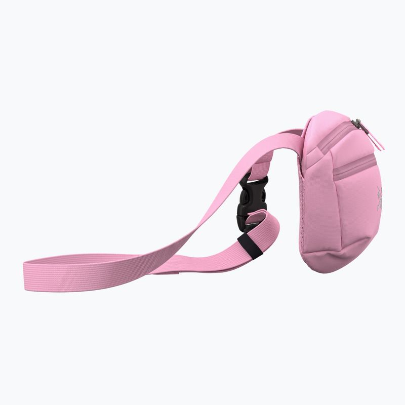 Sáček Arcteryx Mantis 1 1,5 l 4