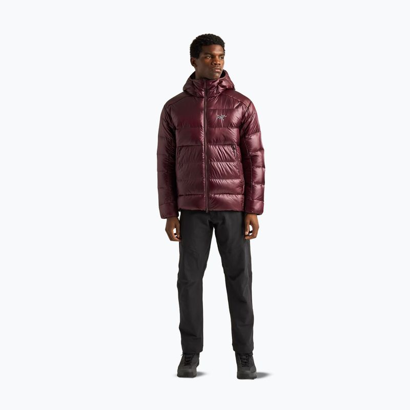 Pánská zateplená bunda Arcteryx Cerium SV Hoody ultima 2