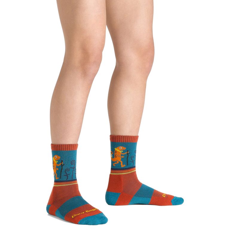 Dětské ponožky Darn Tough Sal Micro Crew Lightweight with Cushion lava 2