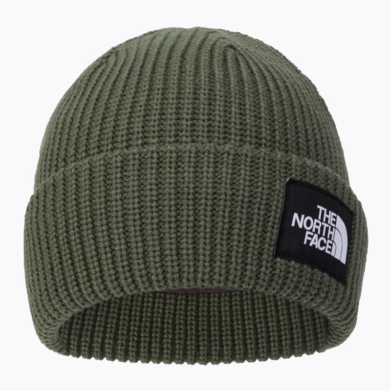 Kšiltovka The North Face Salty Dog zelená NF0A3FJWNYC1 2