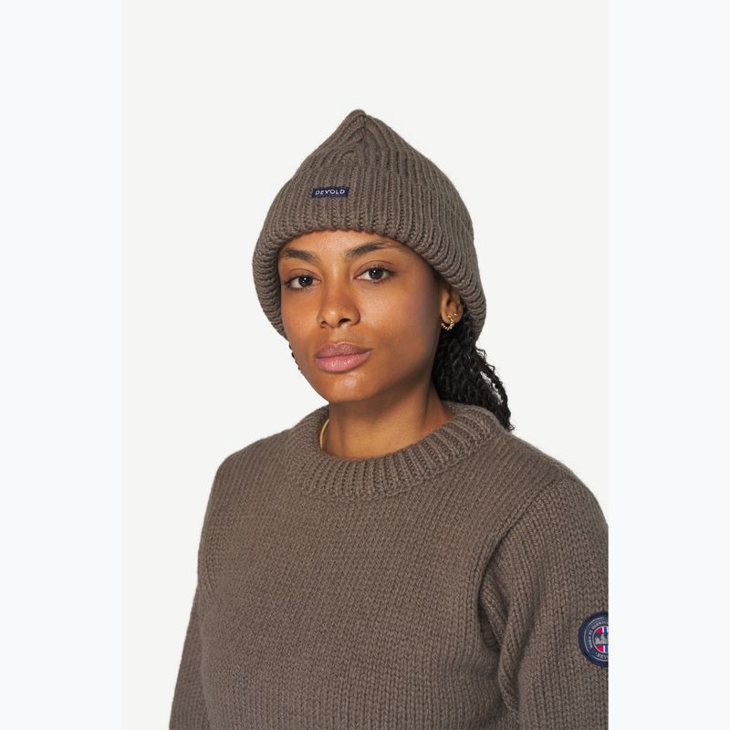Zimní čepice Devold Nansen Wool falcon 2