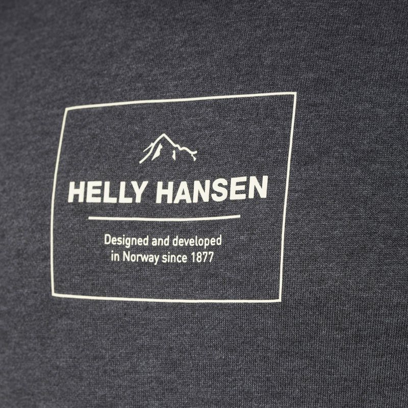 Pánská trekingová mikina Helly Hansen F2F Organic Cotton Hoodie ebony melange 3