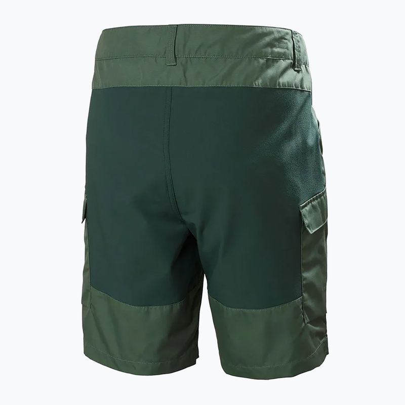 Helly Hansen pánské trekové šortky Vandre Cargo green 62699_476 6