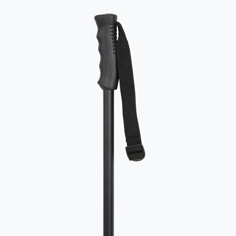 Lyžařské hole HEAD Multi black/black 2