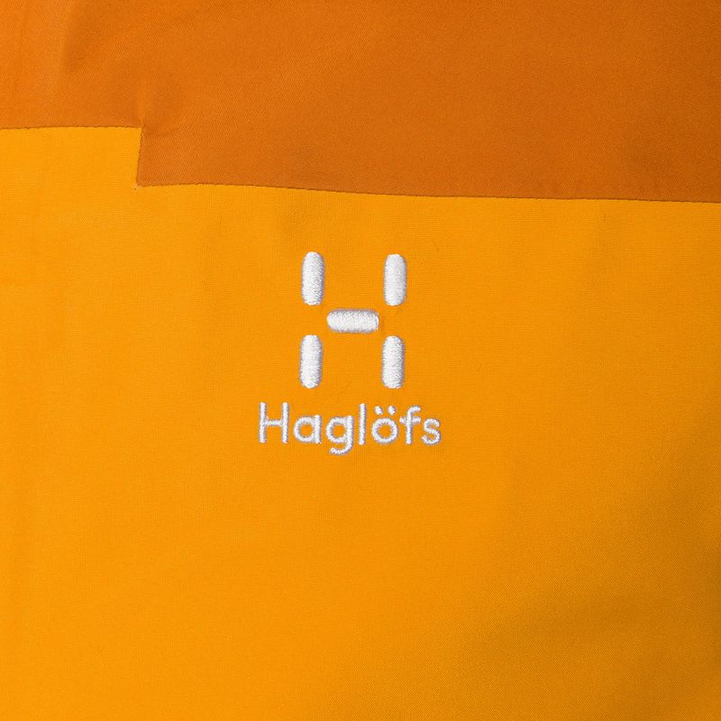 Pánská nepromokavá bunda Haglöfs ROC Flash GTX žlutá 606037 6