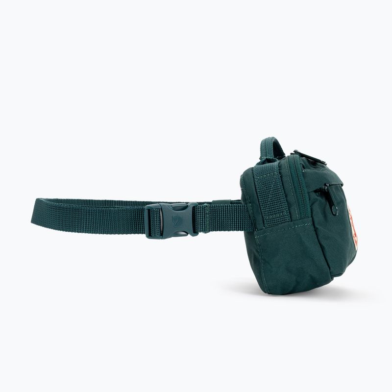 Ledvinka Fjällräven Kanken zelená F23796 3