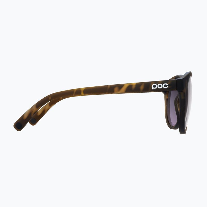 Sluneční brýle POC Know tortoise brown/clarity road/sunny silver 4