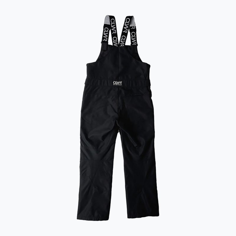 Pánské snowboardové kalhoty Colourwear Slash Bib black 11