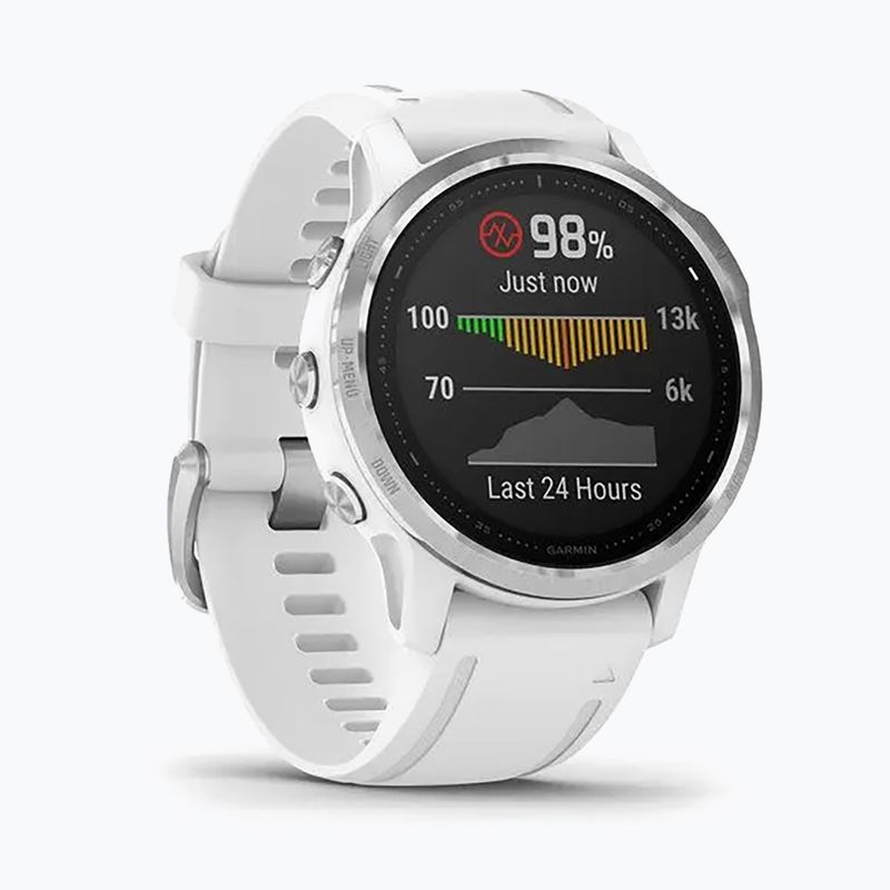 Sportovní hodinky Garmin fenix 6S bílé 010-02159-00 3