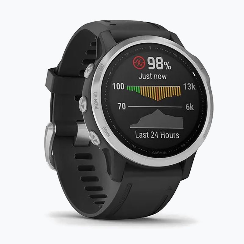 Sportovní hodinky Garmin fenix 6S černé 010-02159-01 3
