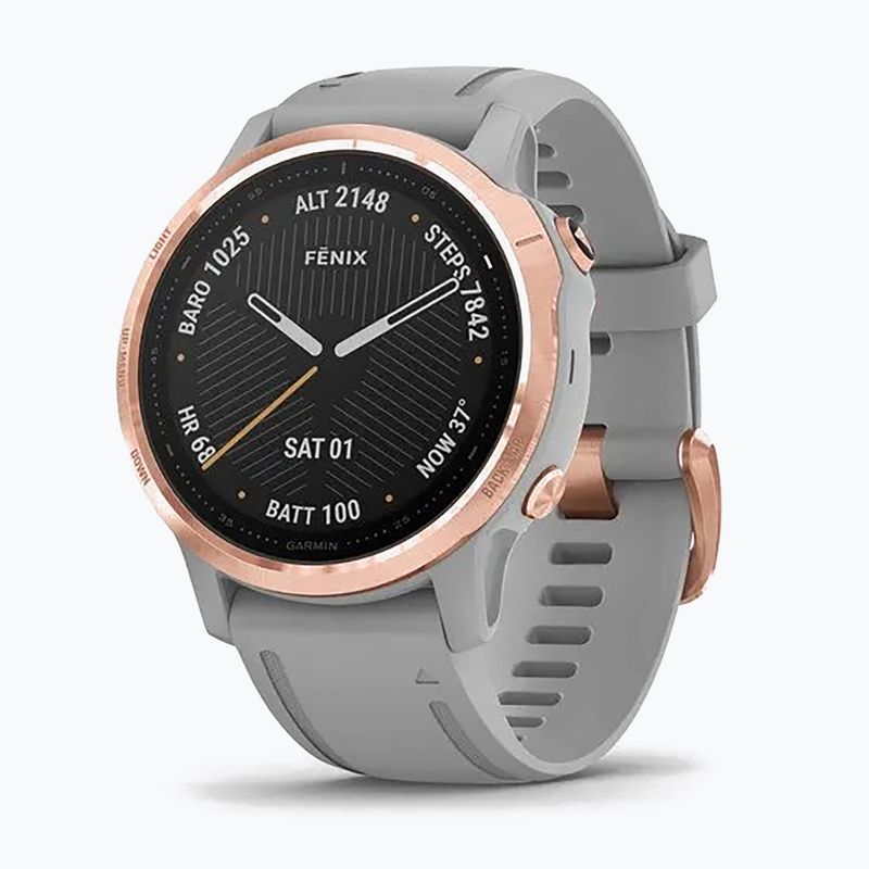 Sportovní hodinky Garmin fenix 6S Sapphire stříbrné 010-02159-21