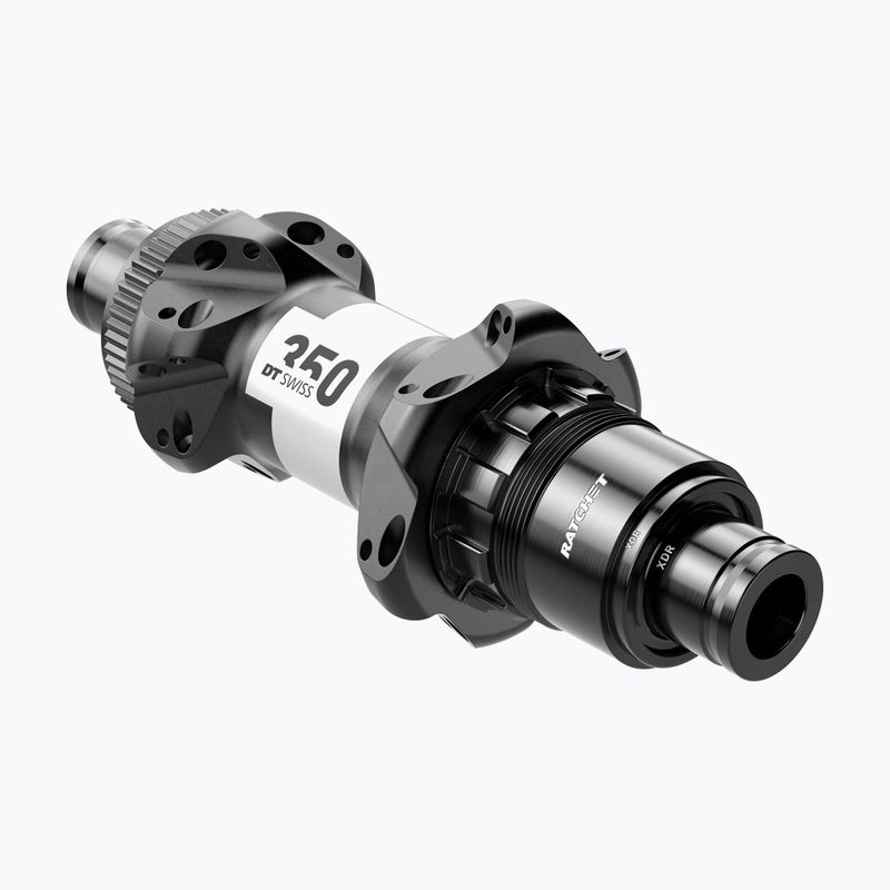 DT Swiss 35P 142/12 ROCL AXDR R24 BM ASM W zadní náboj černý