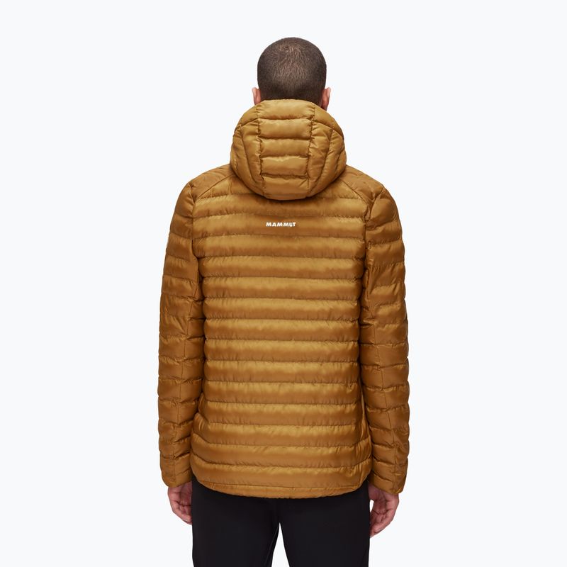 Pánská péřová bunda MAMMUT Albula IN gold 1013-01781 2