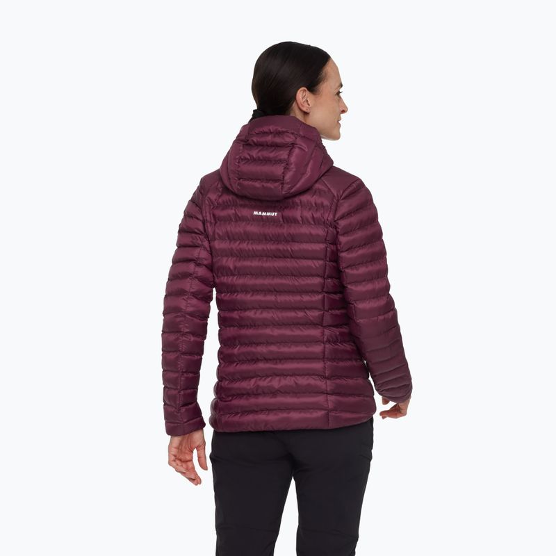 Dámská zateplená bunda Mammut Albula IN Hooded wine/black 2