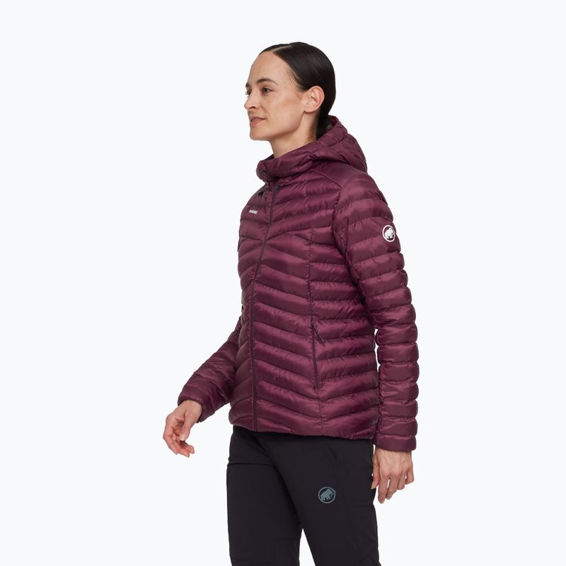 Dámská zateplená bunda Mammut Albula IN Hooded wine/black 3