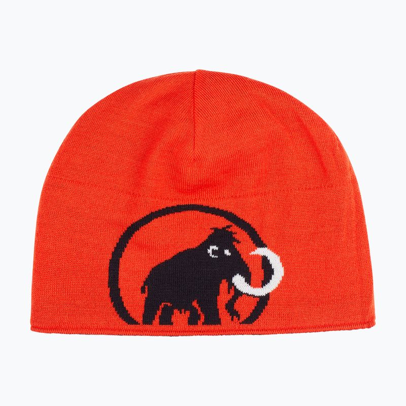 Zimní čepice Mammut Logo black 2