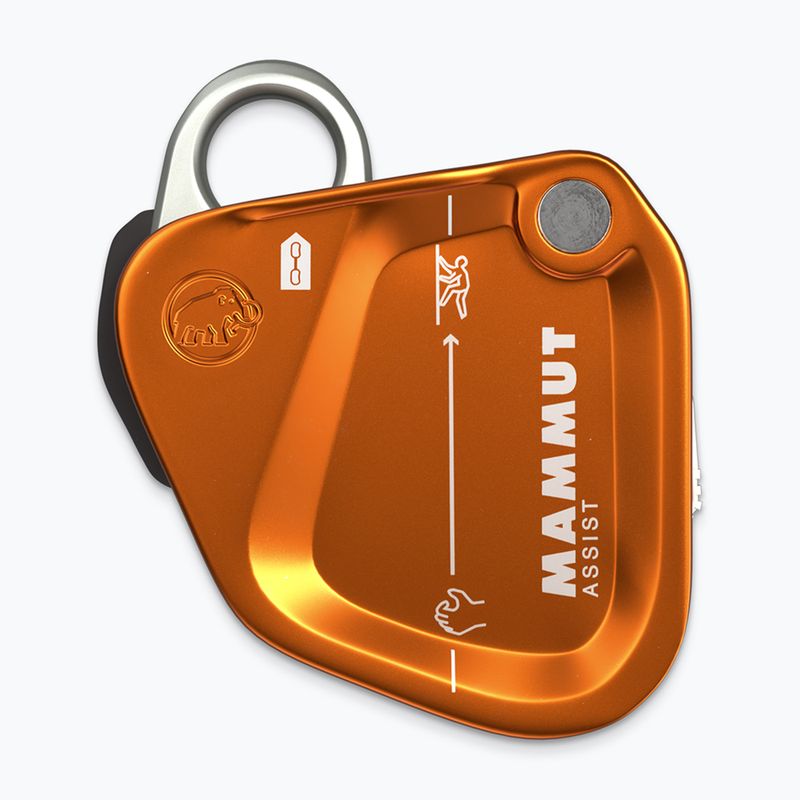 Jistící pomůcka Mammut Assist Belay Resistor gold