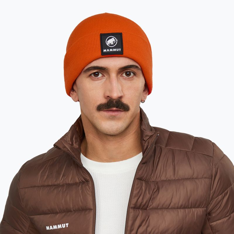 Zimní čepice Mammut Fedoz Beanie autumn larice 3
