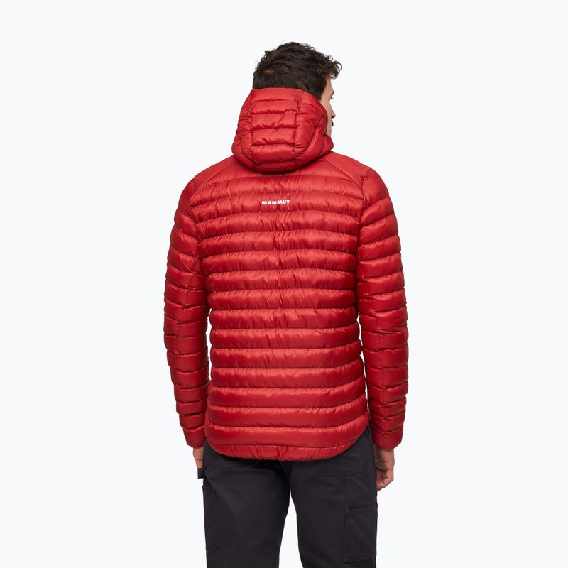 Pánská zateplená bunda Mammut Albula IN Hooded Jacket Men dark mammut red 2
