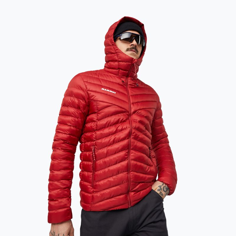 Pánská zateplená bunda Mammut Albula IN Hooded Jacket Men dark mammut red 3