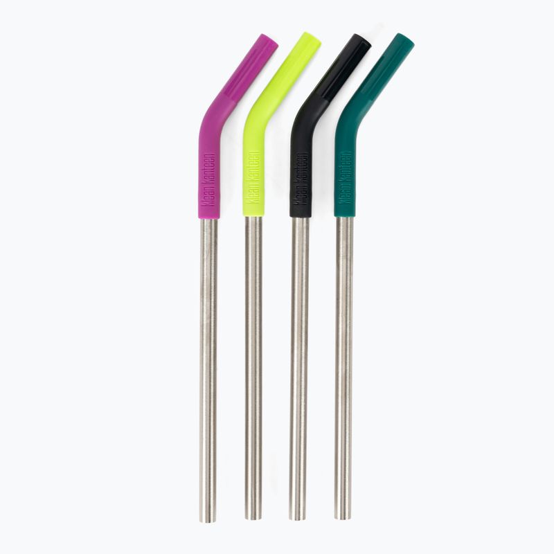 Klean Kanteen Straw 4 Pack multi color