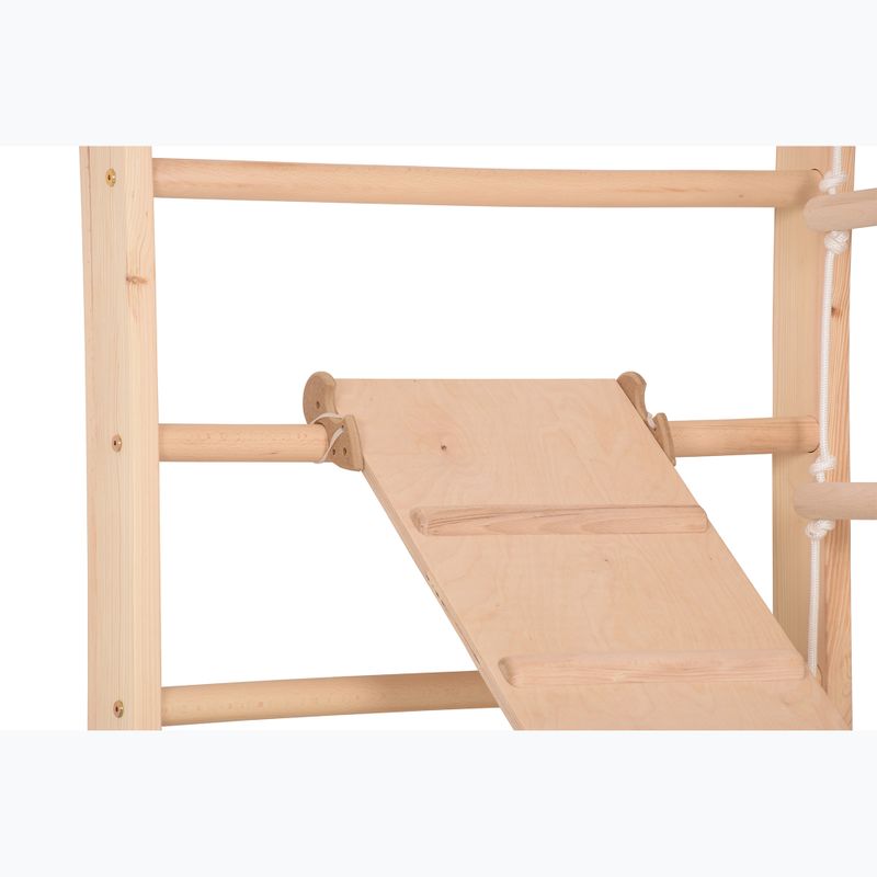 Gymnastický žebřík RINAGYM Kombi 3 14