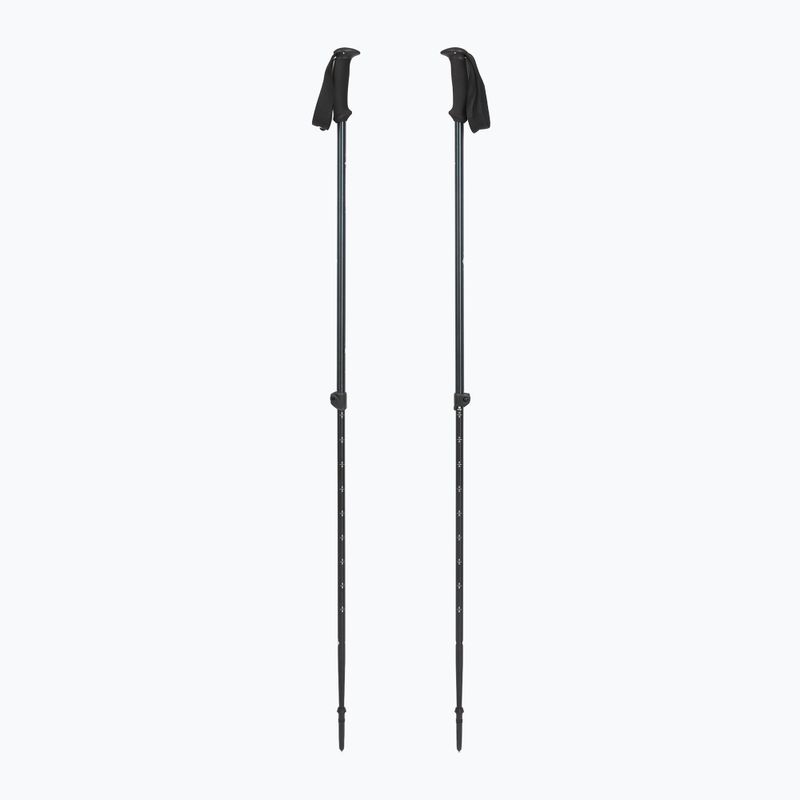Trekingové hole Black Diamond Explorer 2 Trekking ink blue