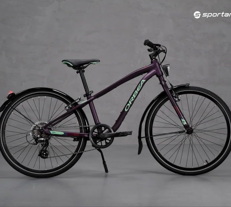 Dětské kolo Orbea MX 24 Park M01024I7 5